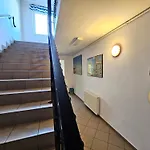Ibis