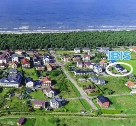 Ibis 3*